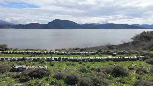 Rows Of Beehives In Green Field Near Lake Bafa Shore. High quality 4k footage