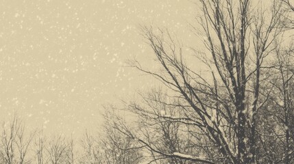 Obraz premium Leafless trees with falling snowflakes under overcast sky; evokes a serene winter landscape