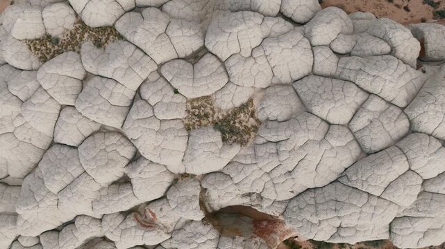 Aerial view of unique white pocket geological formations with cracked textures and desert vegetation in Kanab, Utah, United States.