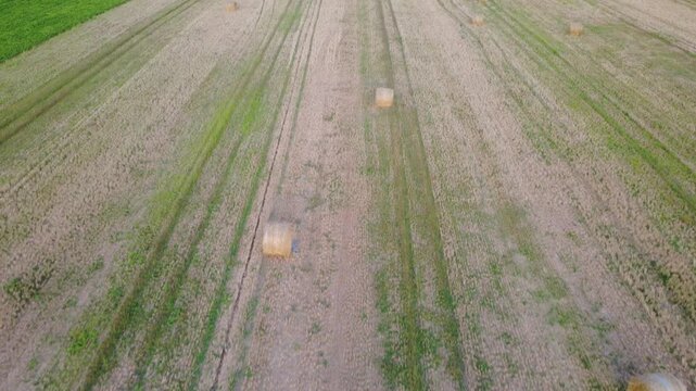 Aerial drone shot over harvested field with hay bales in Dambach-La-Ville, France. Rural landscape with golden light agriculture concept.
