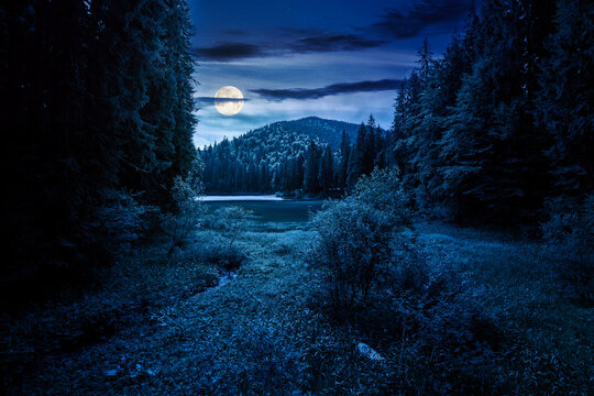 lake in summer mountain landscape at night. fresh body of water surrounded by coniferous forest in full moon light. spectacular scenery of alpine destination for photo tourism. mysterious fantasy