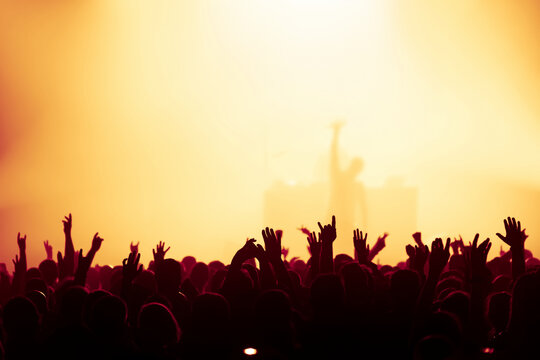 people at the concert