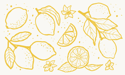Set of lemons with leaves and flowers in hand-drawn sketch style. Perfect for packaging design, kitchen decor, food branding, posters, stickers, textile prints, and creative projects.