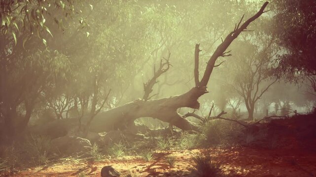 Fallen trunk bathed in golden light, dappled sunbeams filtering through dense canopy, leaf litter and mossy ground creating warm textured foreground, mystical