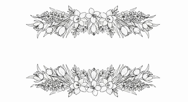 Sketch of two decorative floral borders with daffodils and tulips