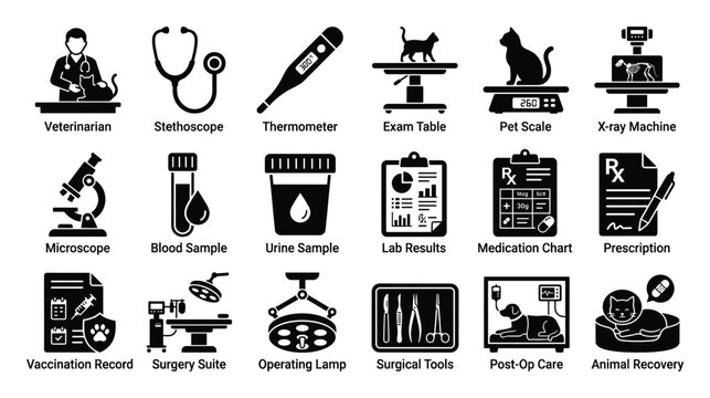 Comprehensive collection of veterinary medicine icons illustrating essential animal health care tools, procedures, and records, perfect for professional web interfaces, mobile applications,