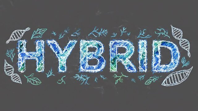 A video showcasing a creative hybrid concept with colorful design elements