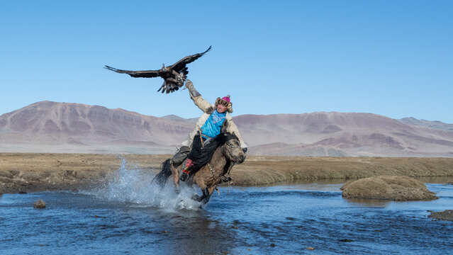 Eagle hunter riding horse with golden eagle in Altai Mountains Mongolia