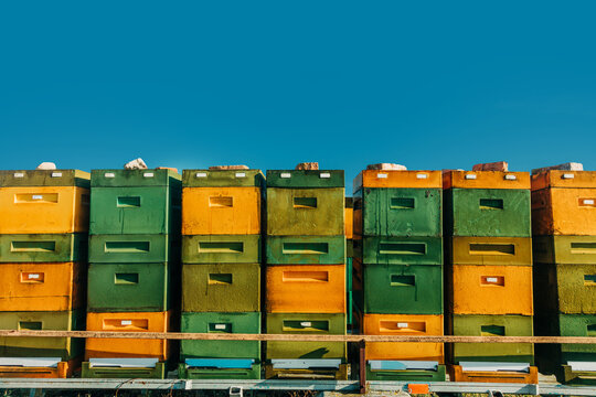 Colorful bee hives at apiary outdoors under blue sky in spring