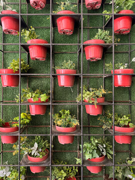 Series of decorative planter pots stacked on a metal trellis with green wall behind. Suitable for outdoor vertical garden variation design. Nature photography. Seamless texture.