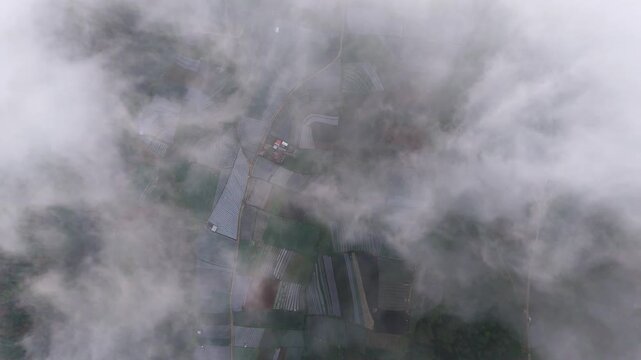Aerial view of geometric farm fields, with contrasting dark and light tones, partially obscured by a blanket of low-lying clouds, Nepal van Java, Mount Sumbing, Indonesia.