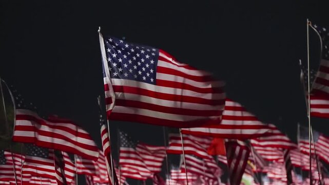 Field of USA flags at night in Malibu, California, USA with silhouette figure in foreground illuminated by strong lights, emotional patriotic tribute scene
