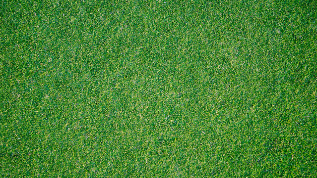 Green grass background, top view background of garden bright grass concept used for making green backdrop, lawn for sports field
