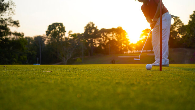 Golfer putting ball on the green golf, lens flare on sun set evening time.