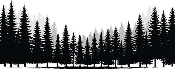 Coniferous pine forest silhouette landscape with evergreen trees in monochrome style © 403Forbidden