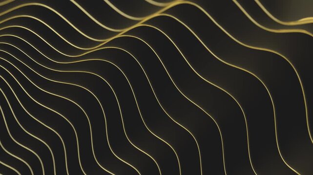 Abstract 3D Golden Wavy Lines on Dark Background &ndash; Smooth Slow Loop Animation