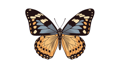Fototapeta premium Beautiful and detailed illustration of a vibrant butterfly with intricately patterned orange, blue, and black wings, showcasing nature's delicate beauty and transformation.