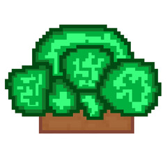 Fototapeta premium Pixel art broccoli vegetable retro 8 bit illustration