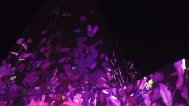 Festival of light, image of plants reflected in a building.