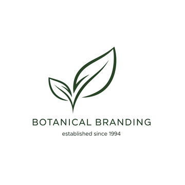 Botanical branding logo featuring a stylized leaf and establishment year since 1994