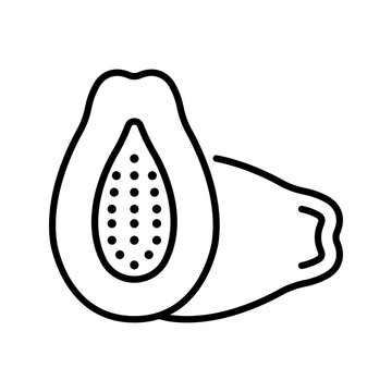 Papaya fruit icon. Food and tropical fruit line symbol. Black and white.