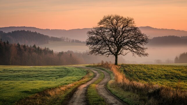 Solitary tree beside a winding dirt road through a misty field at sunrise or sunset with rolling hills in the background
