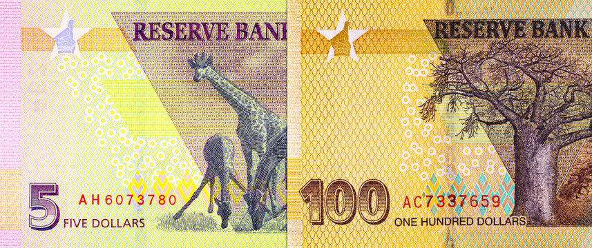 Zimbabwean currency, featuring the 5 and 100 dollar banknotes. African economy, hyperinflation, and global finance.