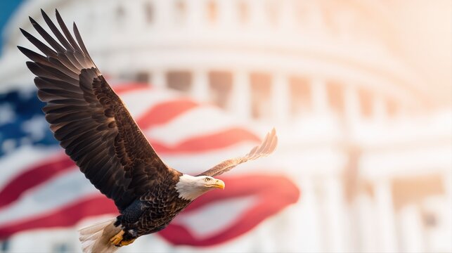 A majestic bald eagle glides in crisp focus, wings outstretched, in front of a blurred American flag and grand white building. Sunset tones add warmth and patriotic drama.