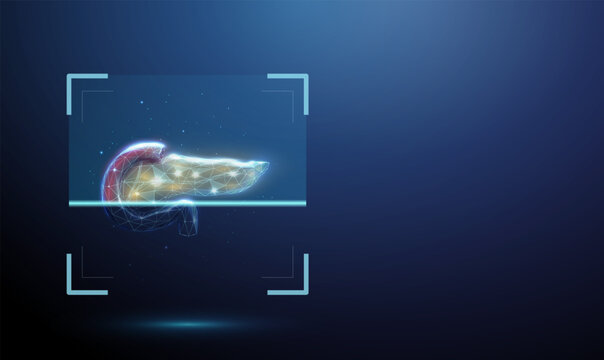 3d human pancreas inside digital scanning frame. Pancreatic examination, organ function analysis, endocrine and digestive system diagnostics, clinical evaluation concept.