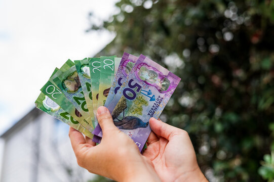 Hands hold various New Zealand banknotes outside with green foliage