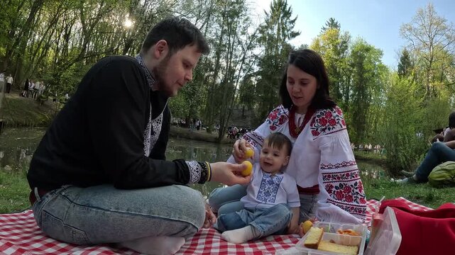 Family picnic feeding baby on red checkered blanket