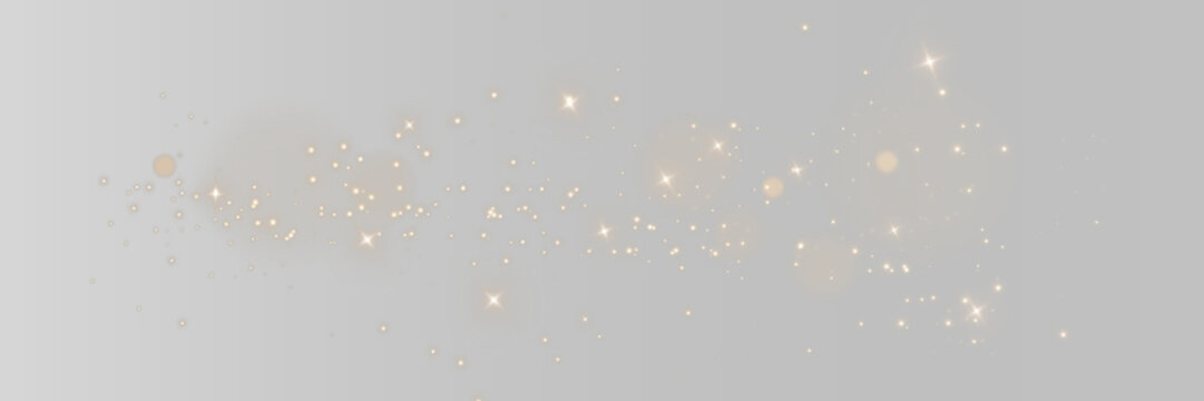 	
Gold sparks and golden stars glitter special light effect. Vector sparkles on transparent background. Christmas abstract