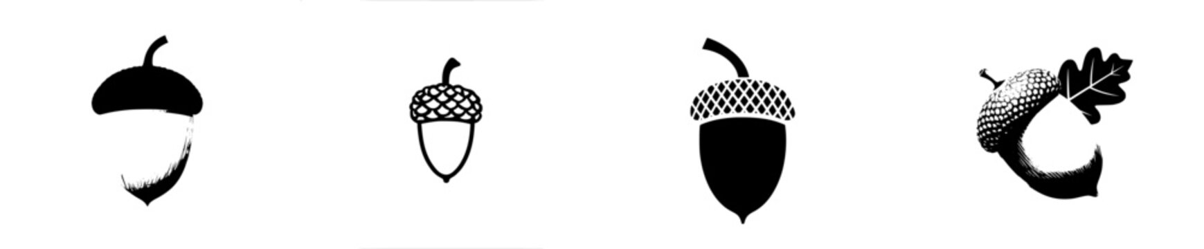 Nature's Bounty: A Single Acorn with a Textured Cap and Smooth Nut Shell