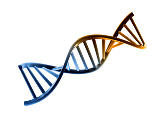 Vibrant 3D DNA double helix structure, a genetic code molecule isolated on transparent background, representing biology and science PNG © Diego