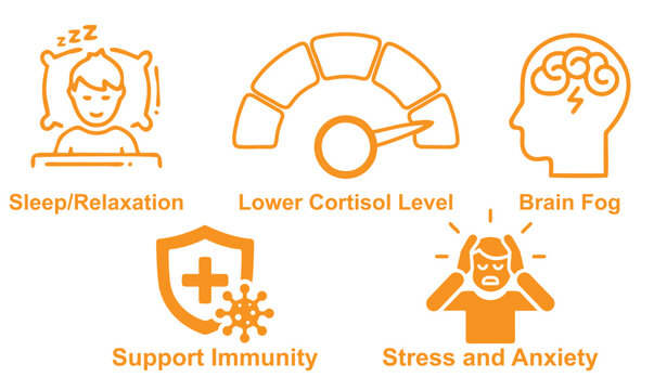 Modern health icon bundle featuring a wide range of medical, wellness, and fitness symbols in clean vector style. Perfect for healthcare apps, websites, and presentations, fully editable and scalable.