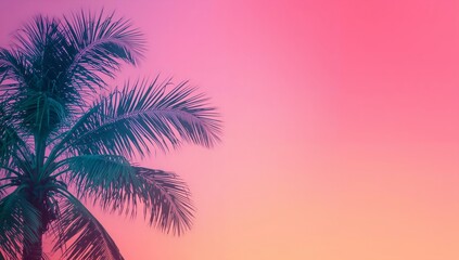 Obraz premium A vibrant palm tree with colorful sky. The photo exudes tropical vibes, relaxation, and vacation themes