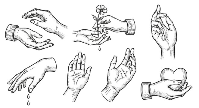 Collection of hand illustrations offering various gestures and interactions