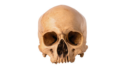 Obraz premium Human skull with empty eye sockets and teeth, isolated on transparent background