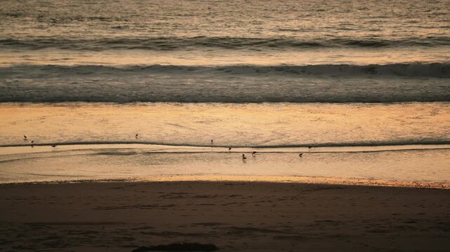 Waves crashing to shore at sunset