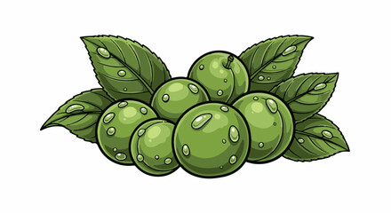 Obraz premium Fresh green olives with dew drops on leaves