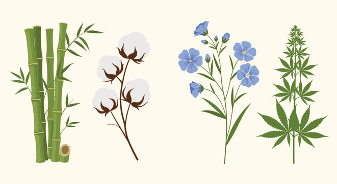 Fiber plants collection including bamboo cotton flax and hemp illustration on light background for eco textile themes.