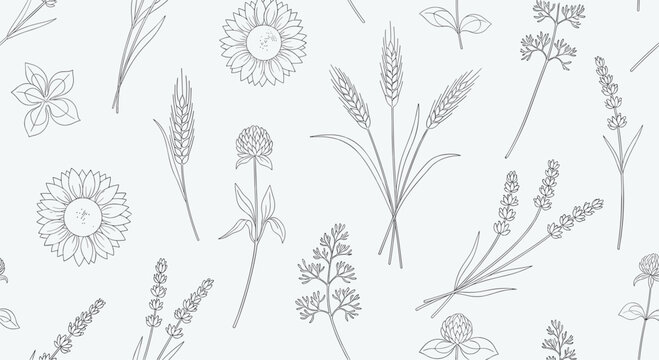 Delicate seamless pattern with various wild flower and herb sketches in black on a light grey background for design.