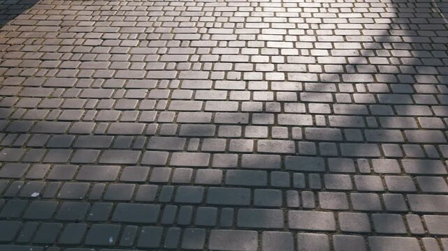 Patterned grey cobblestone pavement stretches across the frame under bright sunlight. Strong diagonal tree shadows create a high contrast geometric texture on the walkway surface.