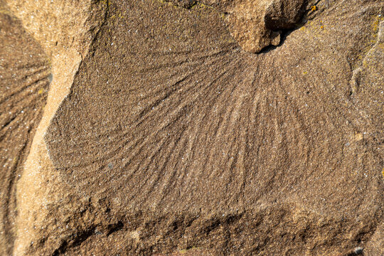 Weathered sandstone rock texture with layered erosion patterns and natural ripple lines detail