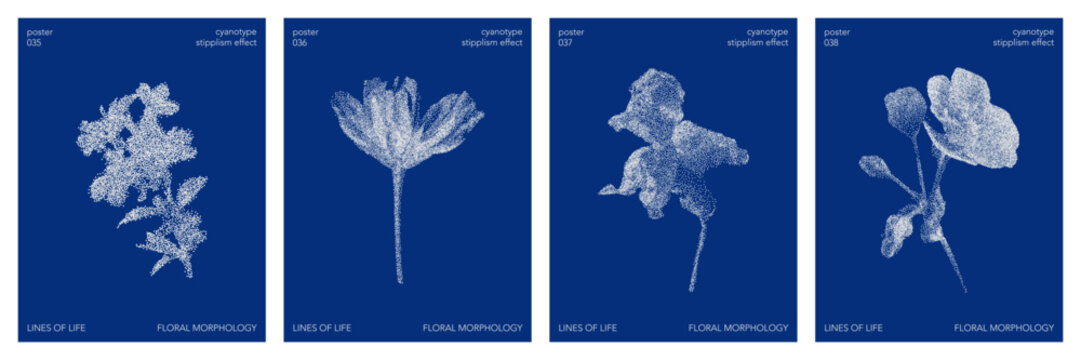 Cyanotype stipple graphic poster set collection. Overlay effect, deep blue color, flower details. Vector  element in retro print style. Design templates for card, social media, banner, cover