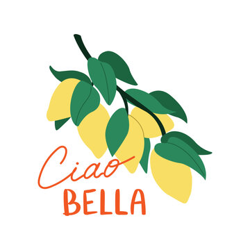 Summer italian vector illustration with lemon branch and handwritten lettering "Ciao Bella" (means hello beautiful on italian)