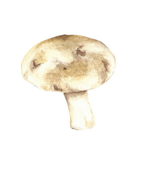 watercolor handpainted mushroom fungi ul uling