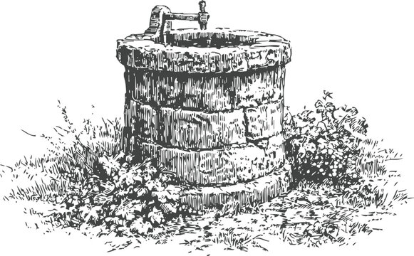 rustic stone water well surrounded by grass and plants in vintage sketch
