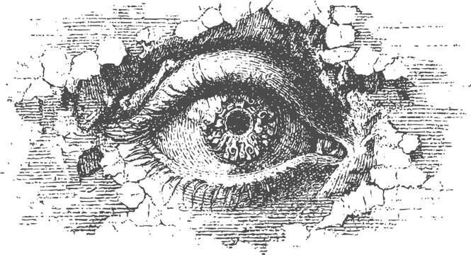 Detailed vintage eye illustration breaking through cracked wall texture in black and white