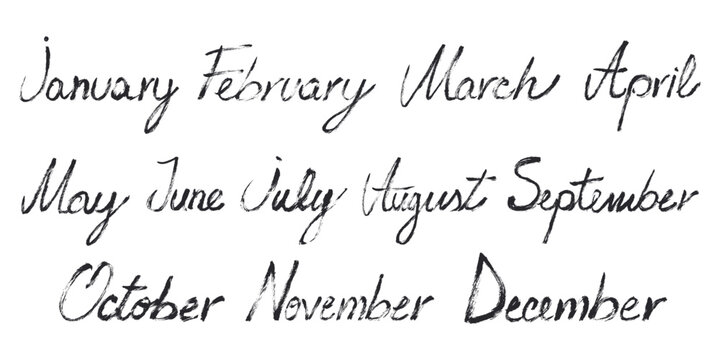 Grunge Brush Months of the Year Calligraphy. Handwritten vector months names brush stroke lettering. Cursive hand drawn 12 calendar months for planner, calendar, events, poster and organizer